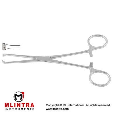 Boys-Allis Intestinal and Tissue Grasping Forceps 5 x 6 Teeth Stainless Steel, 15.5 cm - 6"